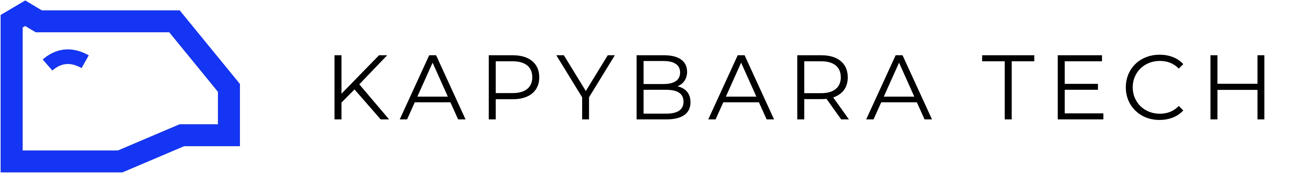 Kapybara Tech